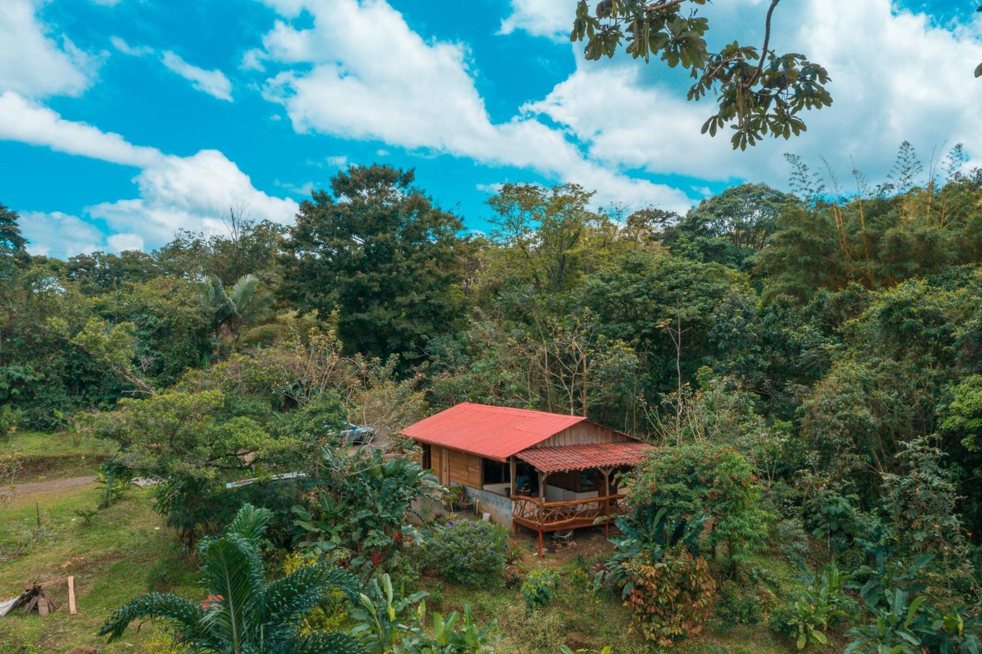 La Tigra Rainforest Lodge La Fortuna 외부 사진