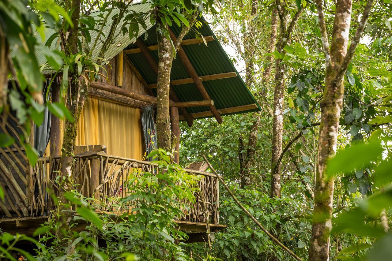 La Tigra Rainforest Lodge La Fortuna 외부 사진