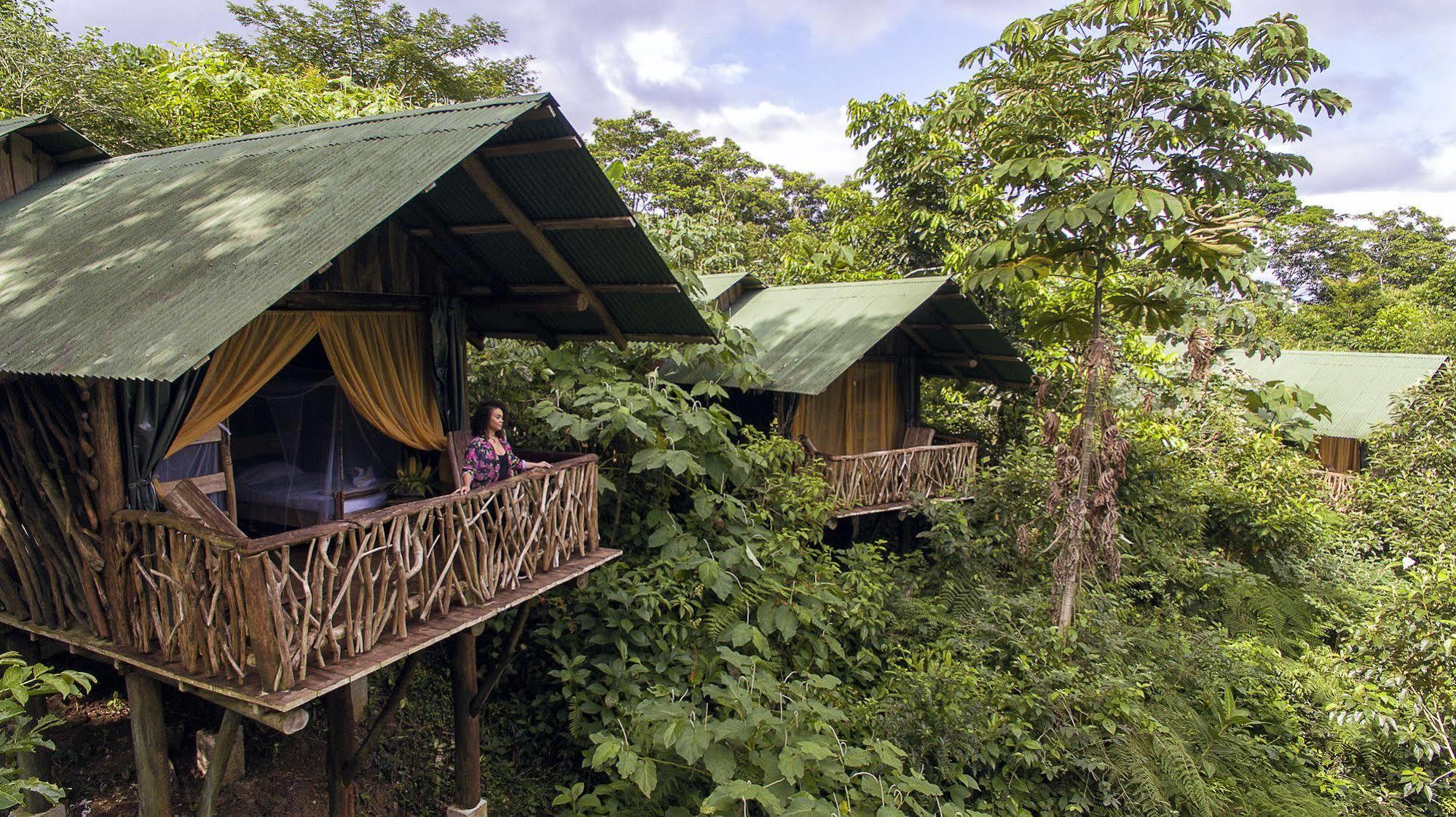 La Tigra Rainforest Lodge La Fortuna 외부 사진